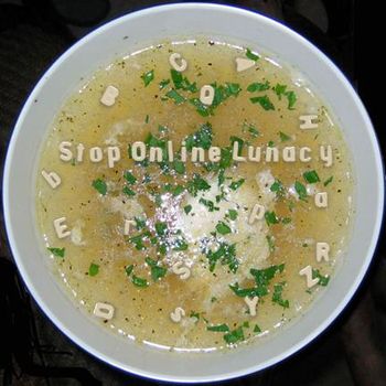 Stop Online Lunacy