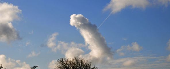 Penis Cloud