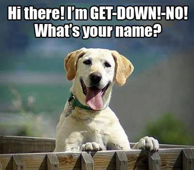 Hi there! I'm GET-DOWN-NO! What's your name?