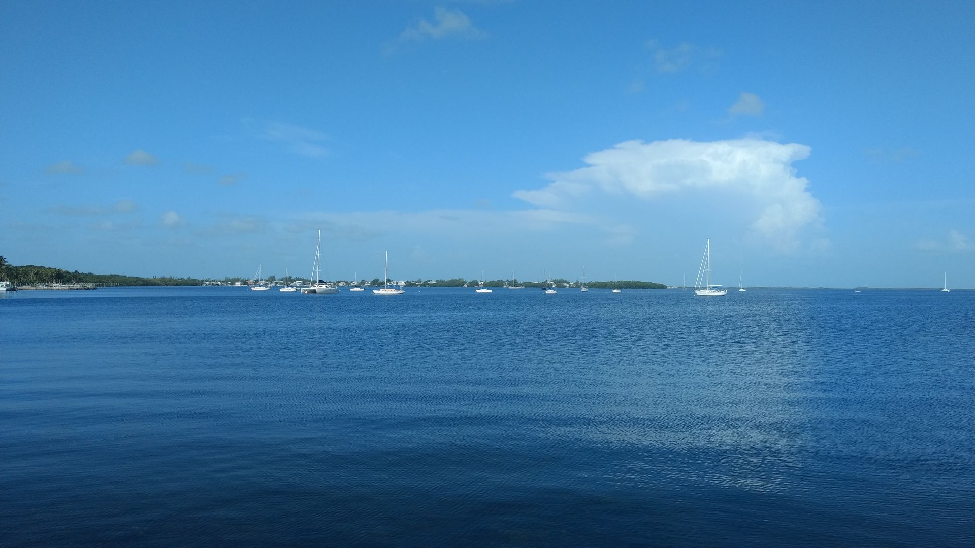 Sailboats on Blue