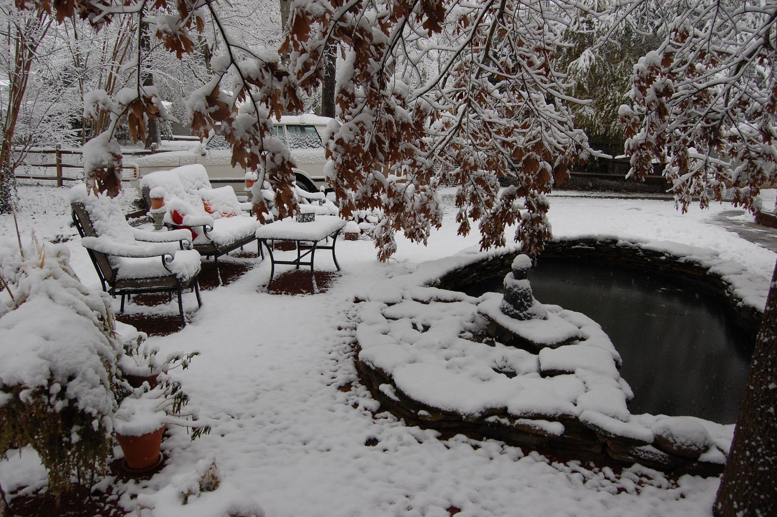 Backyard iced over, Rover in the background