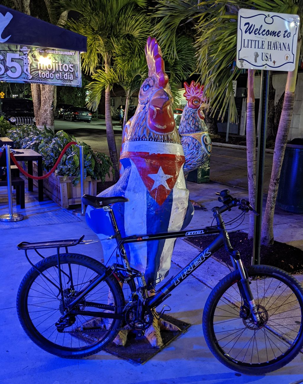 Trek Fuel 70 in Little Havana